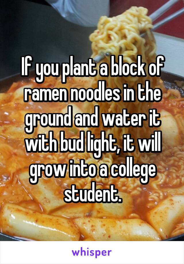 If you plant a block of ramen noodles in the ground and water it with bud light, it will grow into a college student.