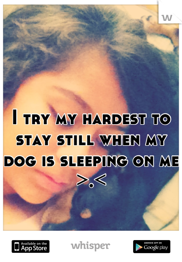I try my hardest to stay still when my dog is sleeping on me >.<