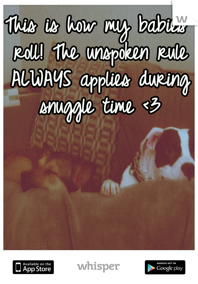 This is how my babies roll! The unspoken rule ALWAYS applies during snuggle time <3