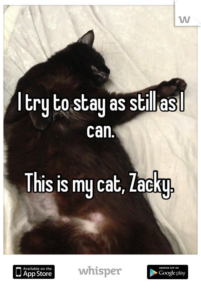I try to stay as still as I can. 

This is my cat, Zacky. 