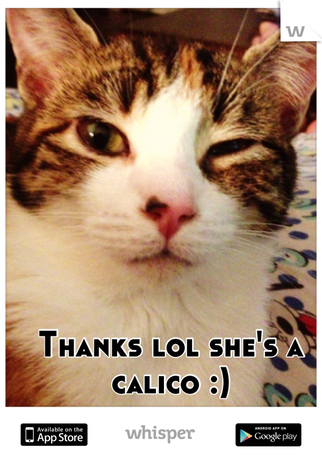 Thanks lol she's a calico :)