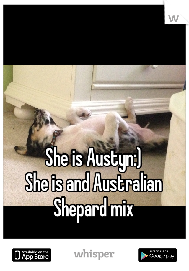 She is Austyn:) 
She is and Australian Shepard mix