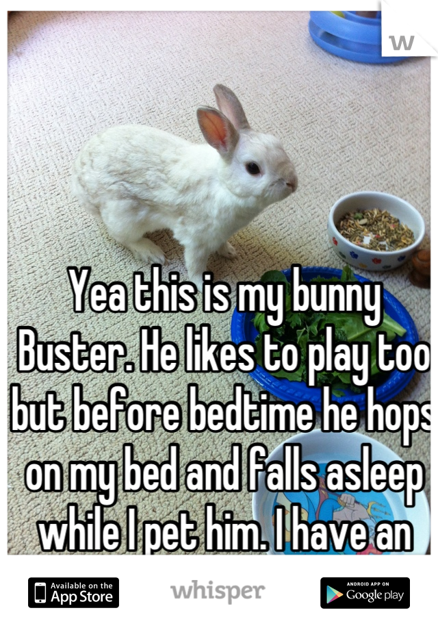 Yea this is my bunny Buster. He likes to play too but before bedtime he hops on my bed and falls asleep while I pet him. I have an awesome rabbit. <3