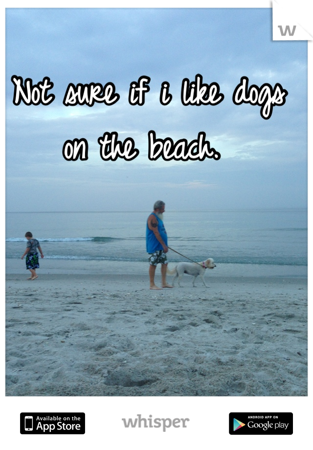 Not sure if i like dogs on the beach. 