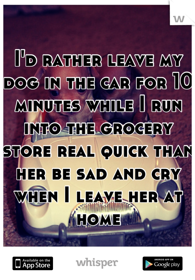 I'd rather leave my dog in the car for 10 minutes while I run into the grocery store real quick than her be sad and cry when I leave her at home