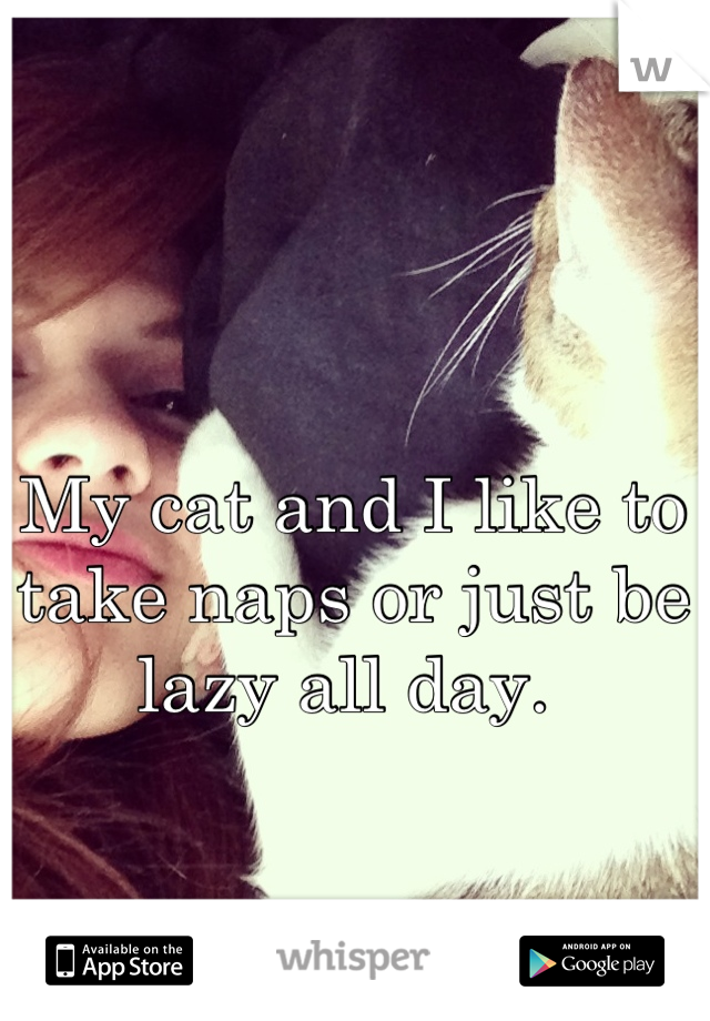 My cat and I like to take naps or just be lazy all day. 