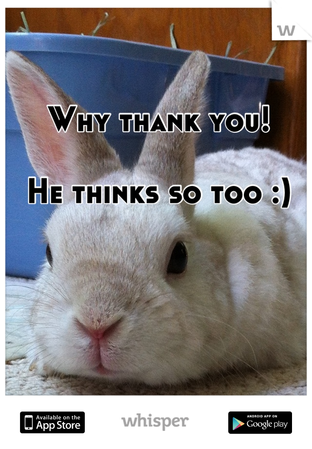 Why thank you!

He thinks so too :)