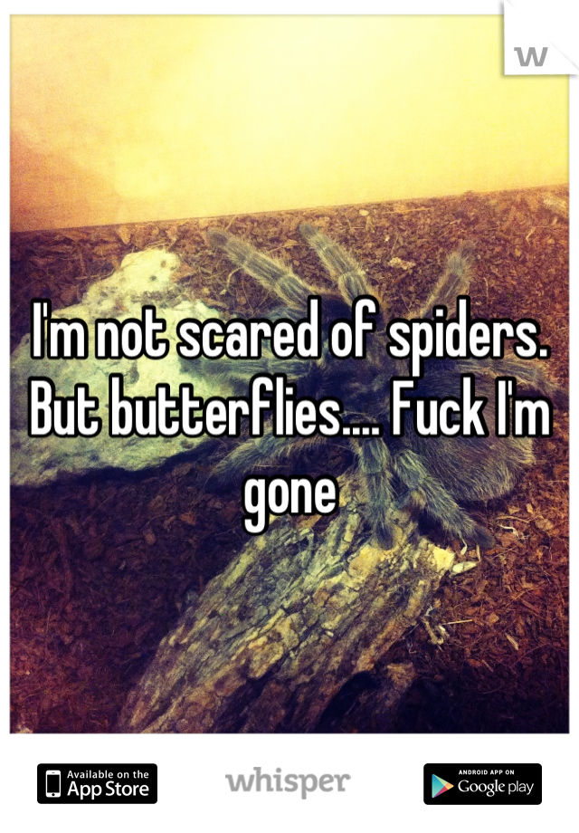 I'm not scared of spiders. But butterflies.... Fuck I'm gone