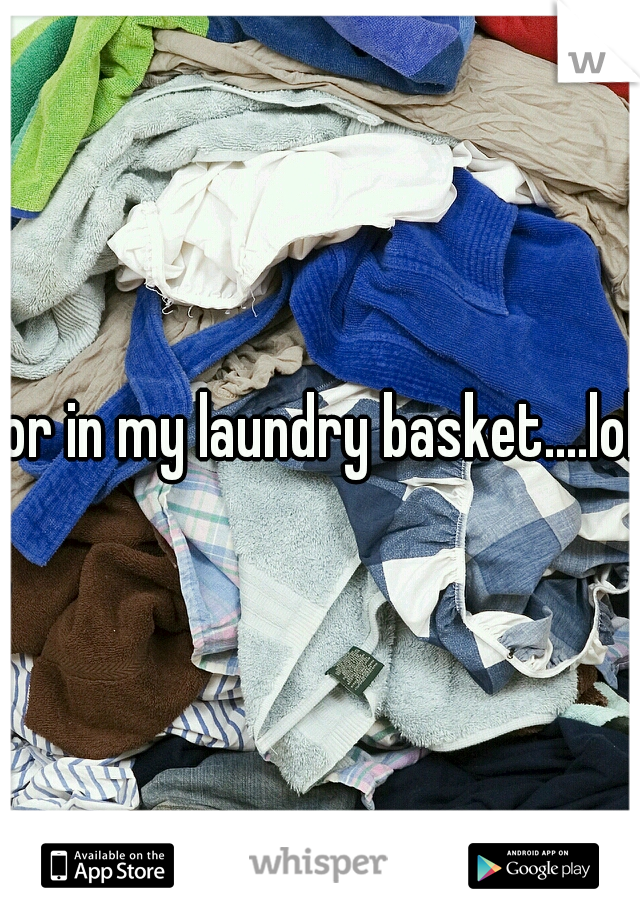 or in my laundry basket....lol
