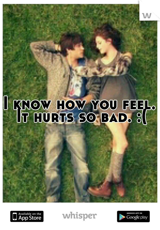 I know how you feel. It hurts so bad. :(