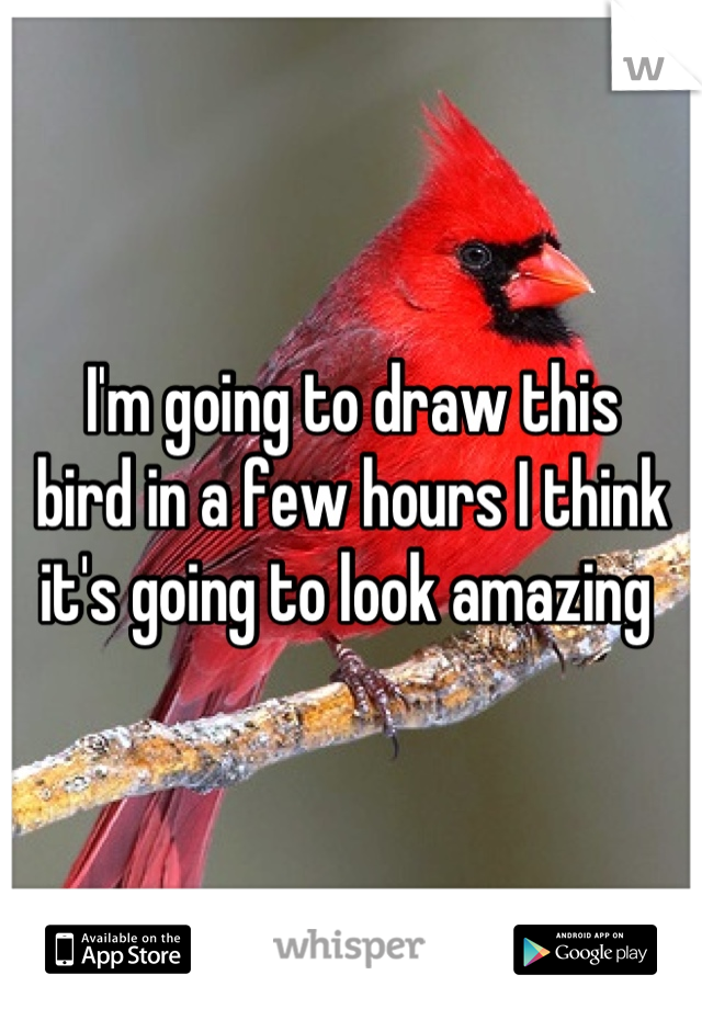I'm going to draw this 
bird in a few hours I think 
it's going to look amazing 