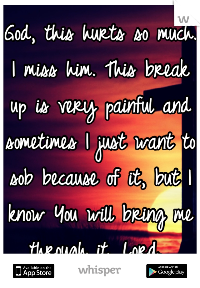 God, this hurts so much. I miss him. This break up is very painful and sometimes I just want to sob because of it, but I know You will bring me through it, Lord. 