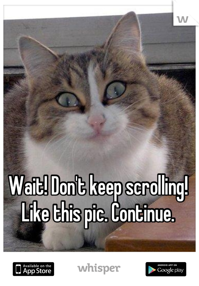 Wait! Don't keep scrolling! Like this pic. Continue.