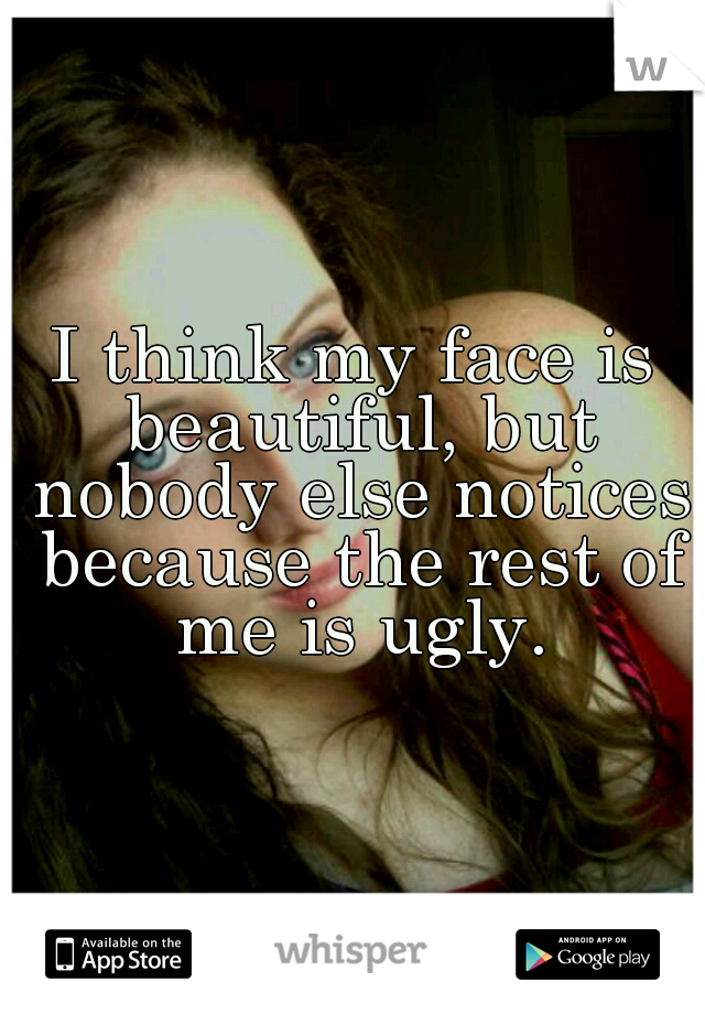 I think my face is beautiful, but nobody else notices because the rest of me is ugly.