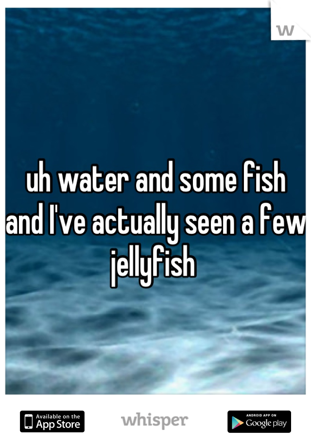 uh water and some fish and I've actually seen a few jellyfish 