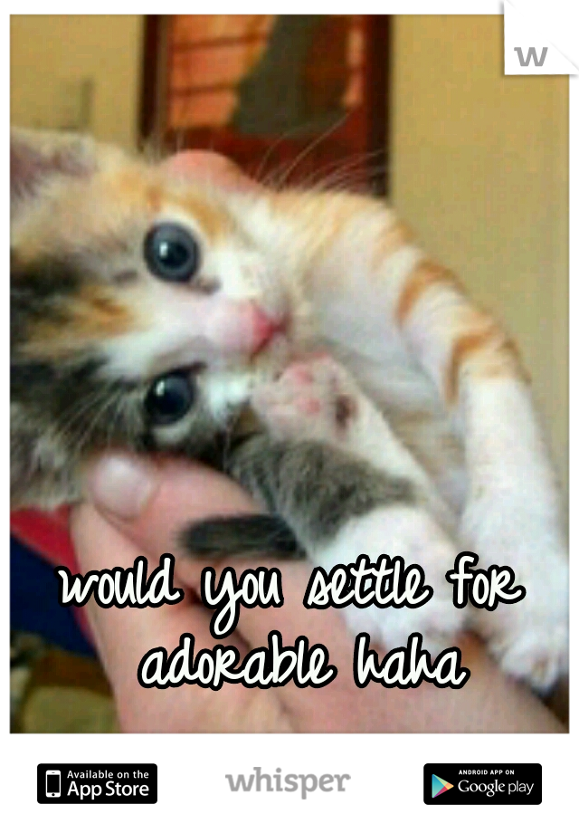 would you settle for adorable haha