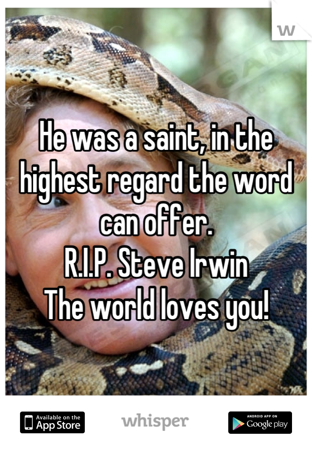 He was a saint, in the highest regard the word can offer. 
R.I.P. Steve Irwin
The world loves you!