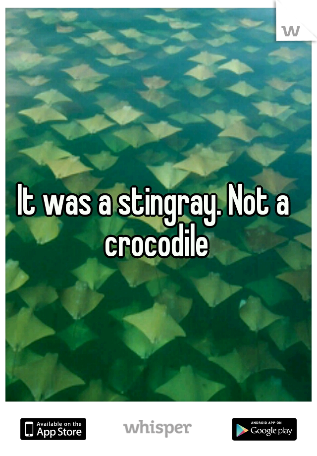 It was a stingray. Not a crocodile