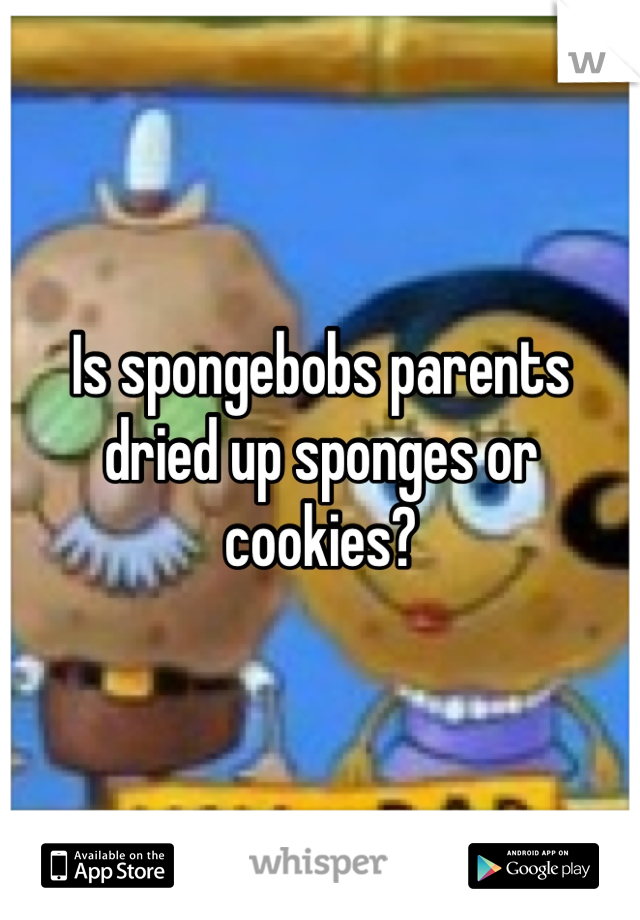 Is spongebobs parents dried up sponges or cookies?
