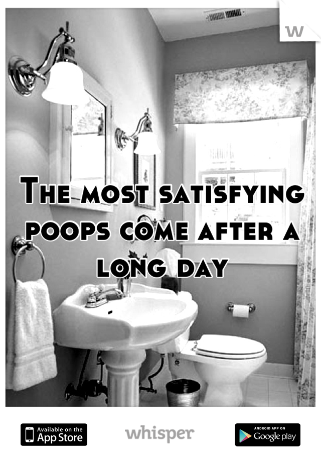 The most satisfying poops come after a long day