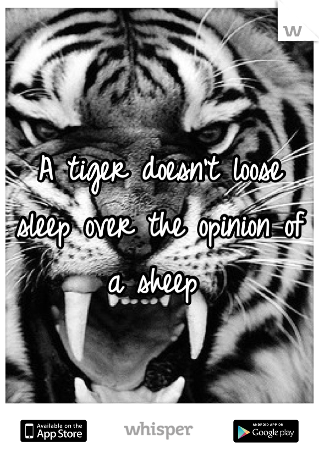 A tiger doesn't loose sleep over the opinion of a sheep 