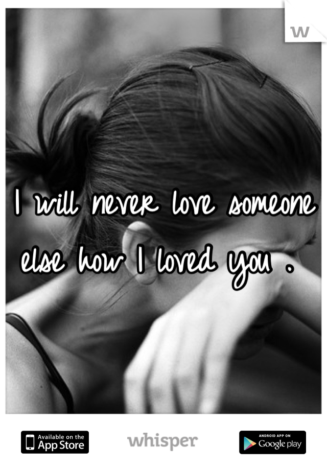 I will never love someone else how I loved you . 