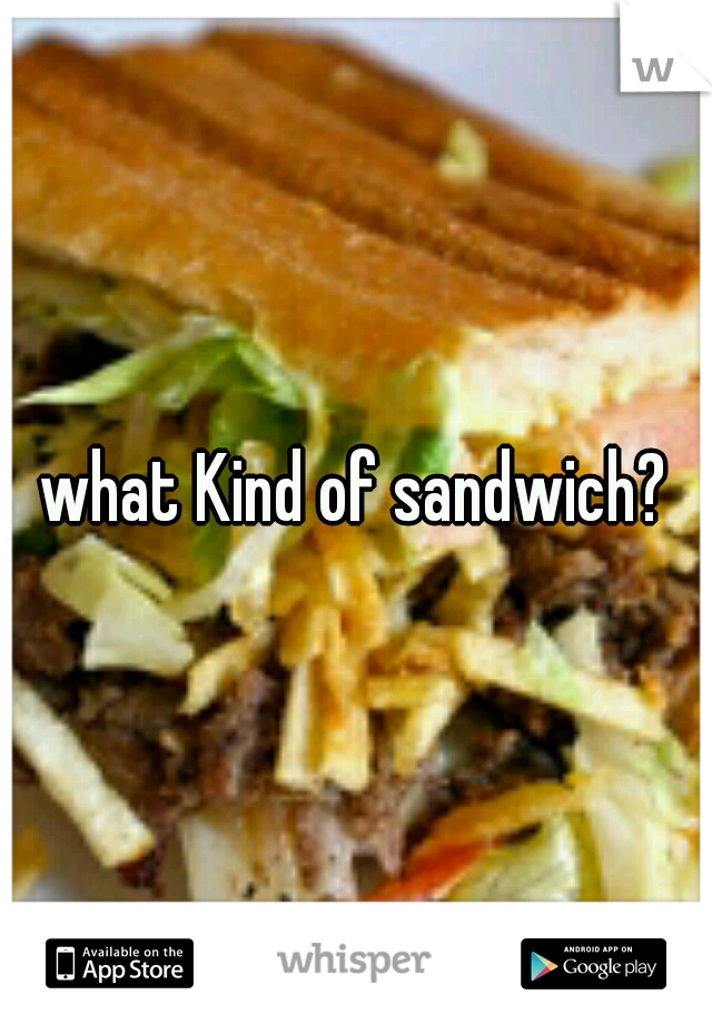 what Kind of sandwich?