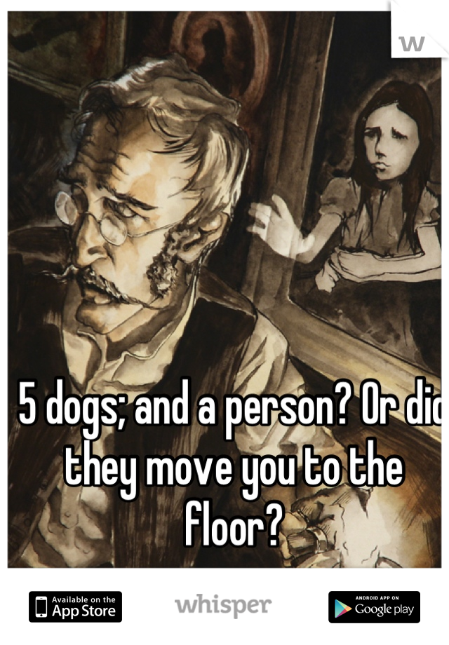 5 dogs; and a person? Or did they move you to the floor?