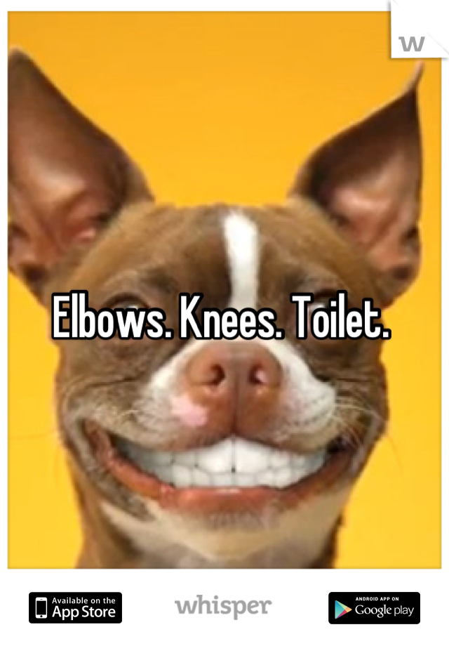 Elbows. Knees. Toilet. 