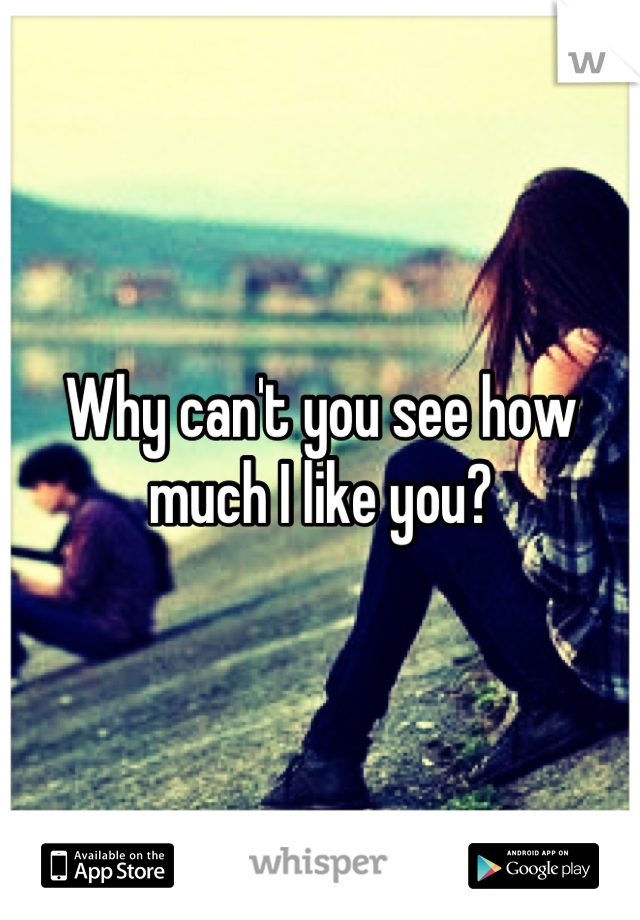Why can't you see how much I like you?