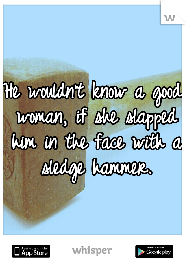 He wouldn't know a good woman, if she slapped him in the face with a sledge hammer.