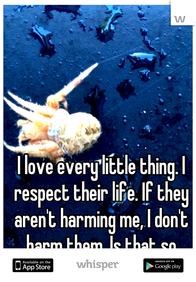 I love every little thing. I respect their life. If they aren't harming me, I don't harm them. Is that so wrong??