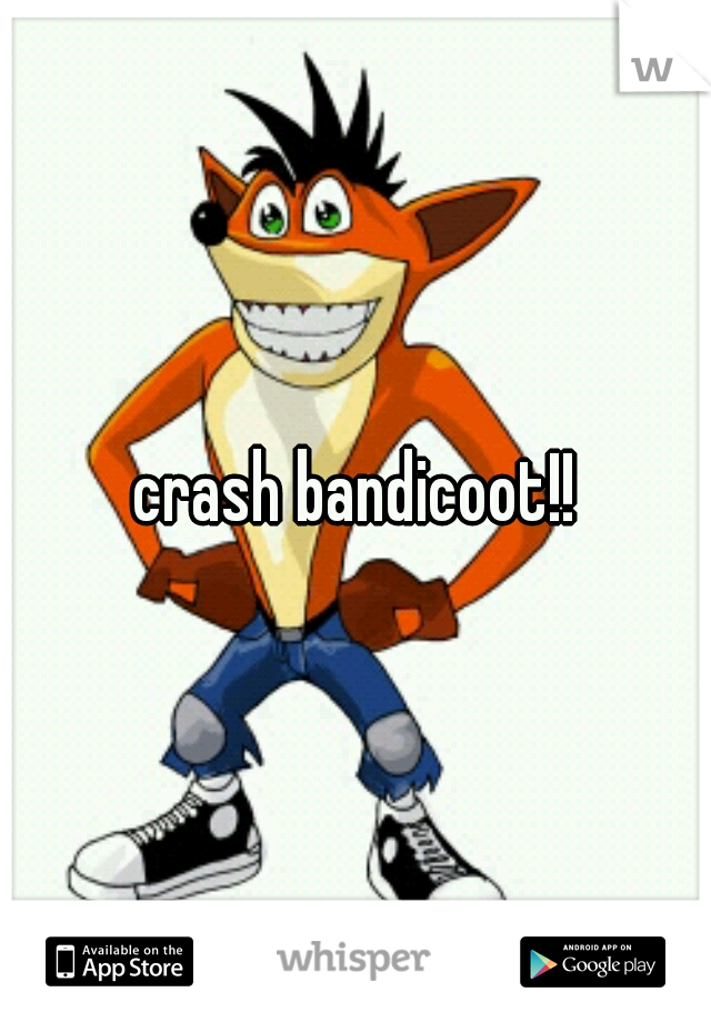 crash bandicoot!!