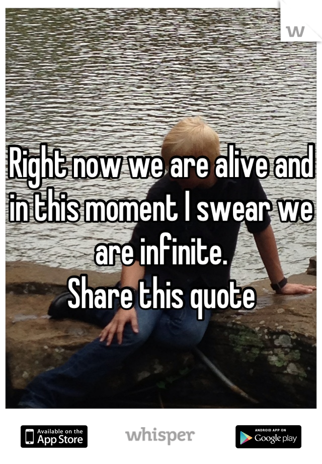Right now we are alive and in this moment I swear we are infinite.
Share this quote
