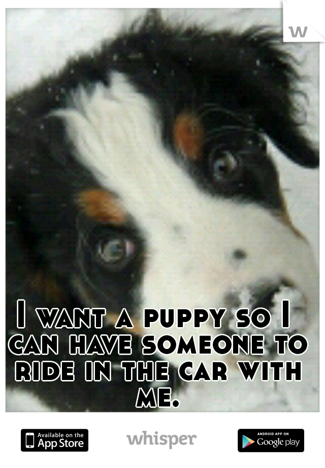 I want a puppy so I can have someone to ride in the car with me.