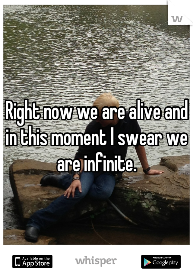 Right now we are alive and in this moment I swear we are infinite.
