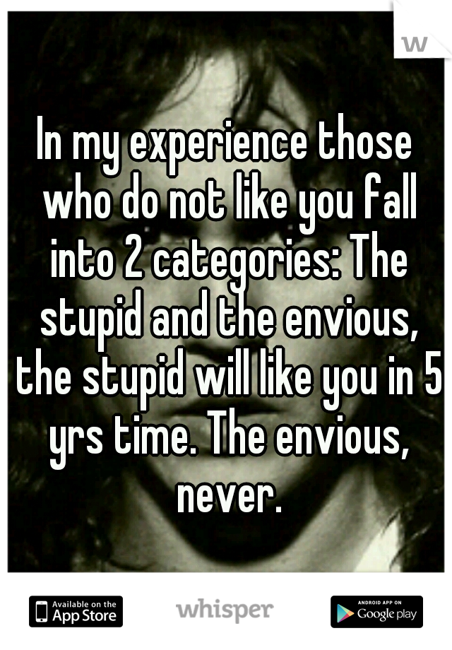 In my experience those who do not like you fall into 2 categories: The stupid and the envious, the stupid will like you in 5 yrs time. The envious, never.