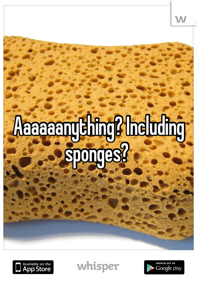 Aaaaaanything? Including sponges? 