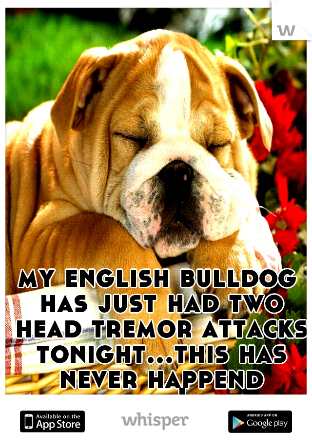 my english bulldog has just had two head tremor attacks tonight...this has never happend before and Im scared for her :(