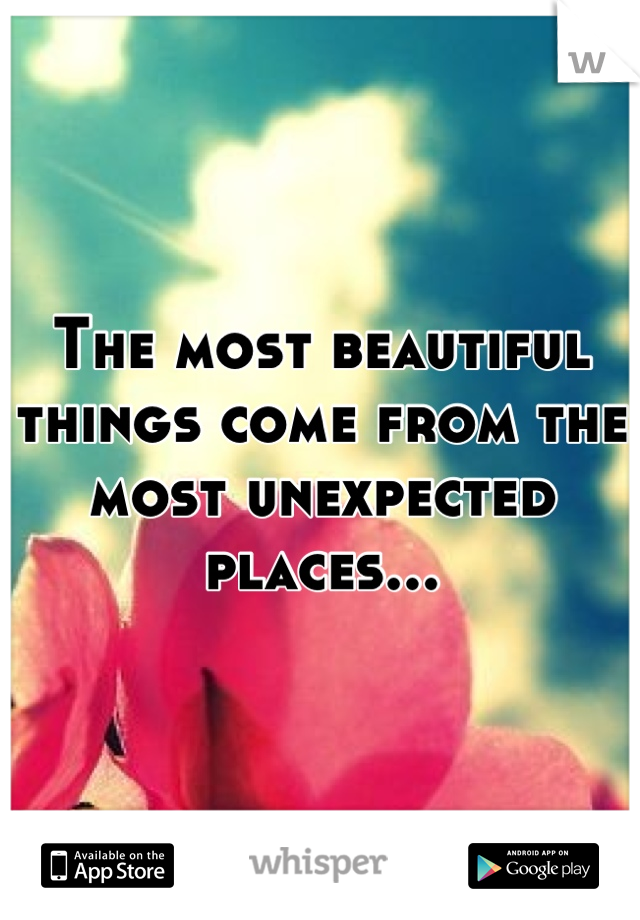 The most beautiful things come from the most unexpected places...