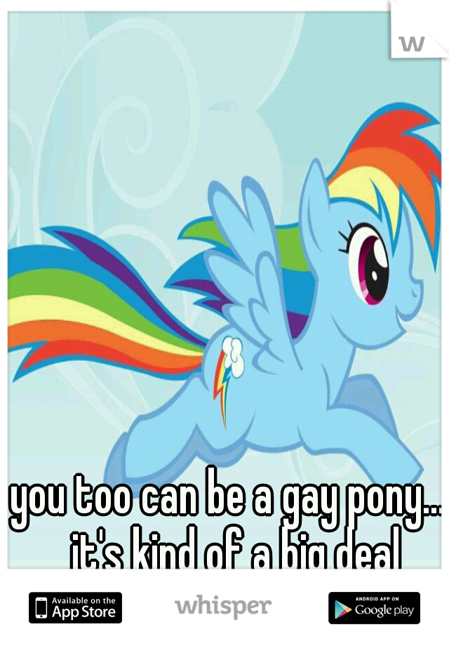 you too can be a gay pony.... it's kind of a big deal