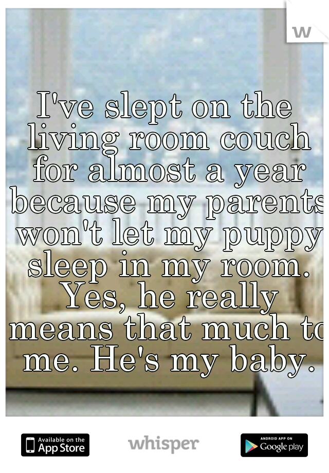 I've slept on the living room couch for almost a year because my parents won't let my puppy sleep in my room. Yes, he really means that much to me. He's my baby.