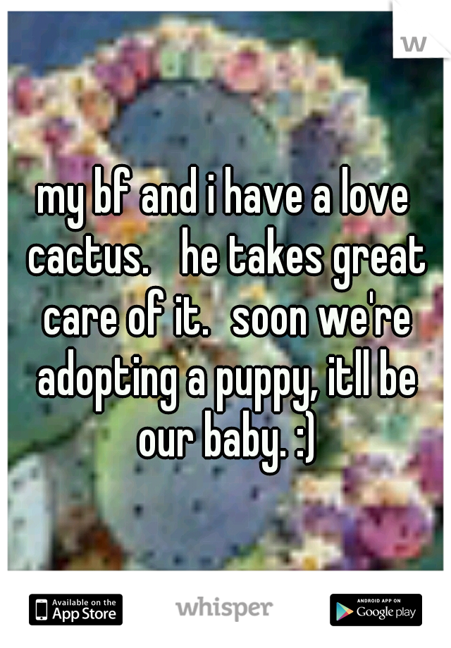 my bf and i have a love cactus. 
he takes great care of it.
soon we're adopting a puppy, itll be our baby. :)