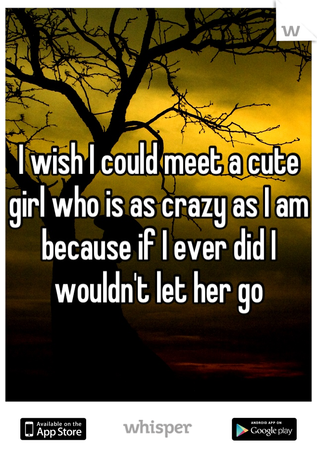 I wish I could meet a cute girl who is as crazy as I am because if I ever did I wouldn't let her go