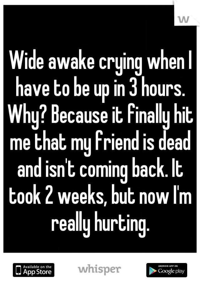 Wide awake crying when I have to be up in 3 hours. Why? Because it finally hit me that my friend is dead and isn't coming back. It took 2 weeks, but now I'm really hurting.
