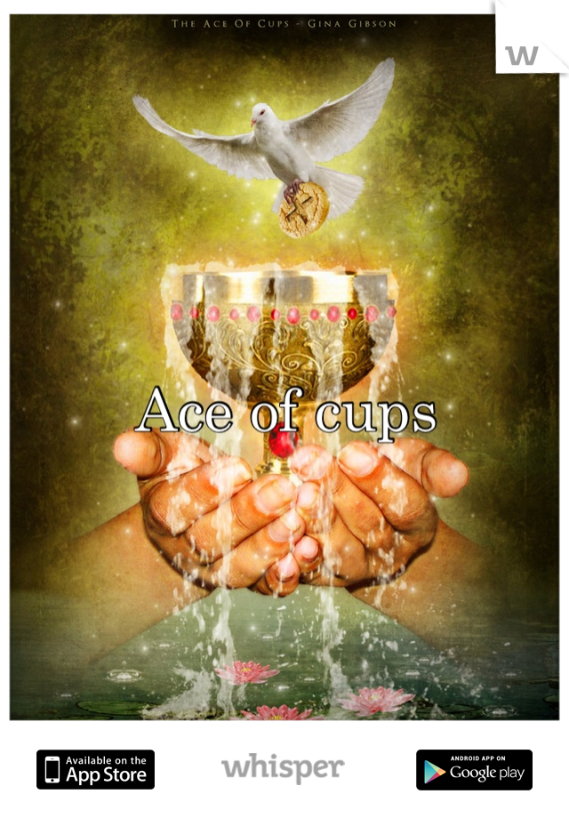 Ace of cups