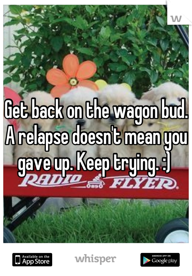 Get back on the wagon bud. A relapse doesn't mean you gave up. Keep trying. :) 