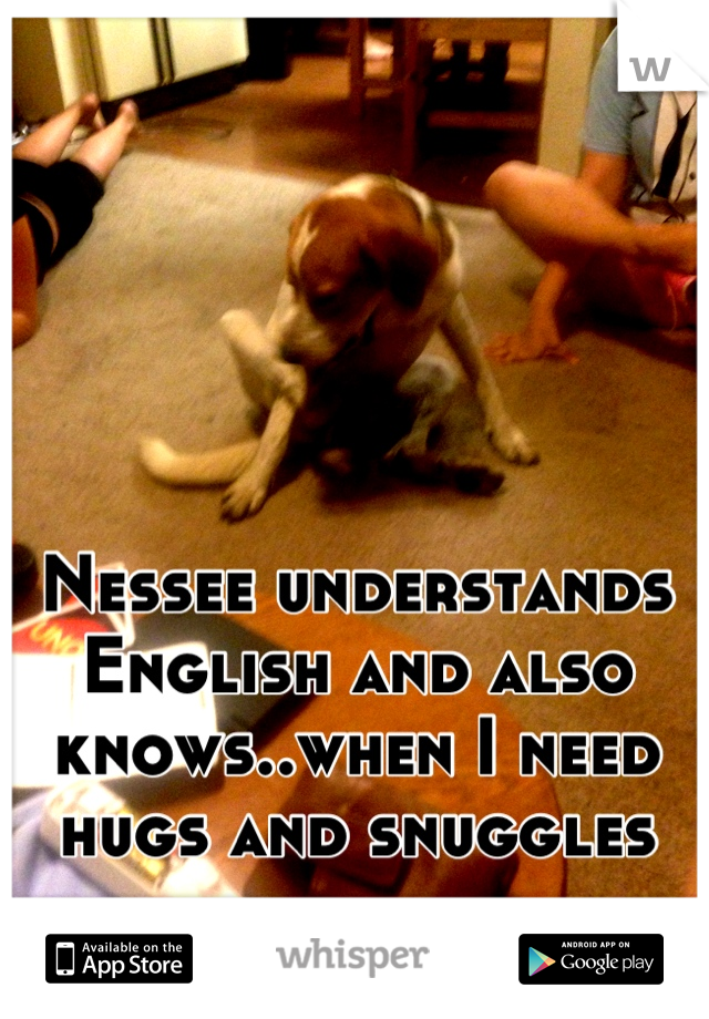 




Nessee understands English and also knows..when I need hugs and snuggles