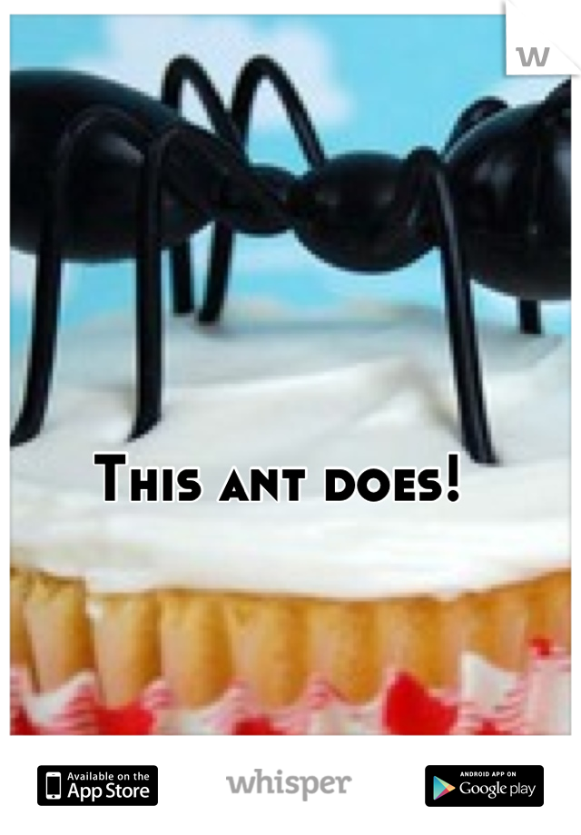 This ant does!