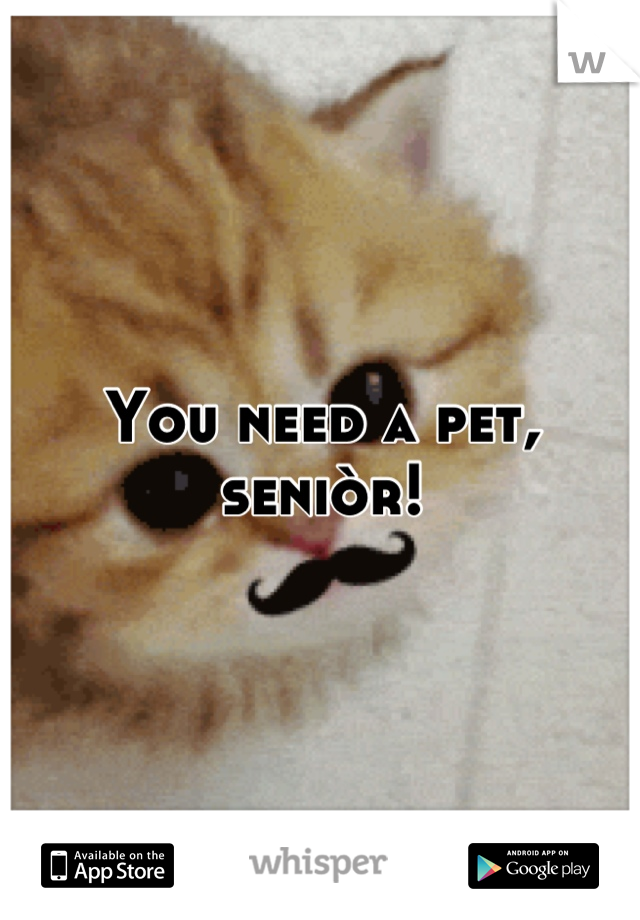 You need a pet, seniòr!
